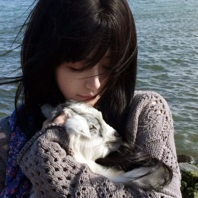 口碑佳片